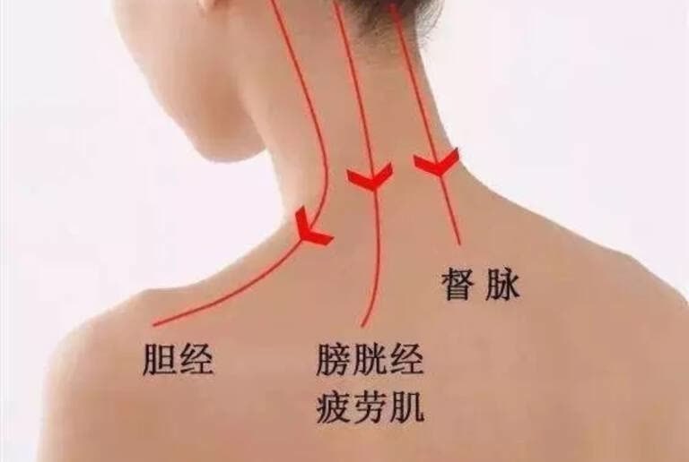 人體經絡圖